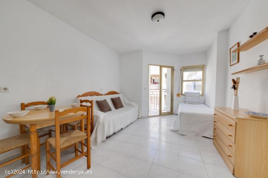 Estudio en venta en Torrevieja (Alicante)