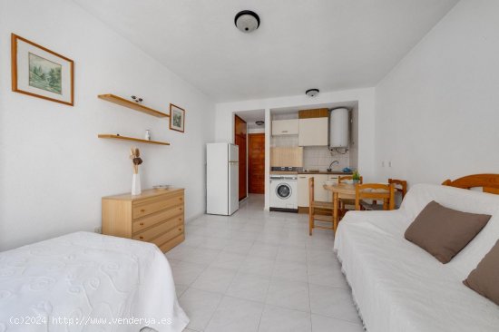 Estudio en venta en Torrevieja (Alicante)