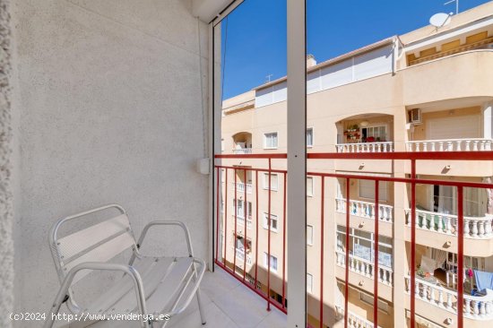 Estudio en venta en Torrevieja (Alicante)