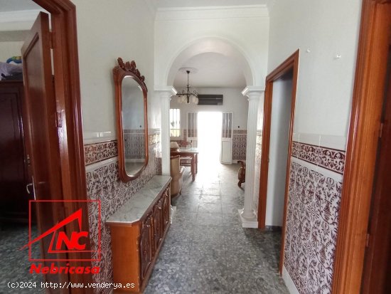 Casa en venta en El Cuervo de Sevilla (Sevilla)