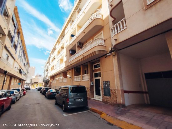 Apartamento en venta en Guardamar del Segura (Alicante)