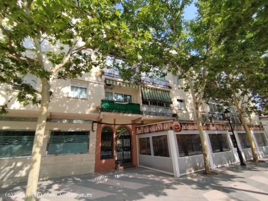  Piso en venta en Campillos (Málaga) 