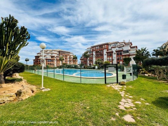 Apartamento en venta en Torrevieja (Alicante)