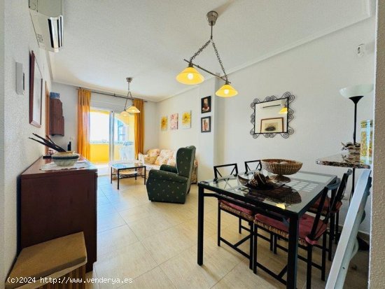 Apartamento en venta en Torrevieja (Alicante)