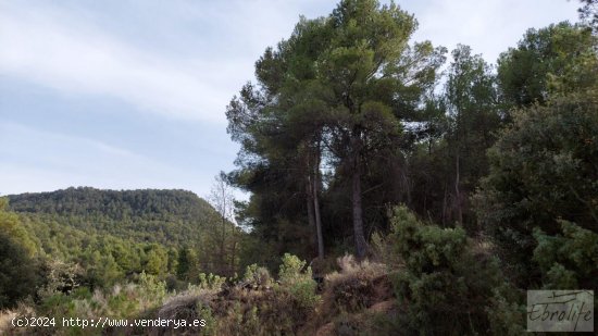 Finca en venta en Valderrobres (Teruel)