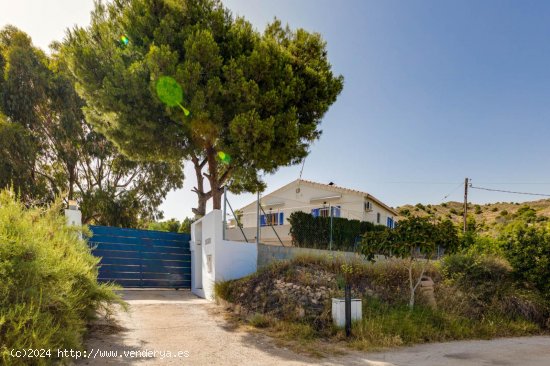  Finca en venta en Crevillent (Alicante) 