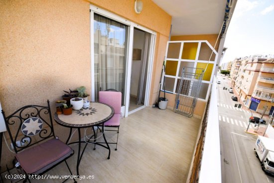  Apartamento en alquiler en Guardamar del Segura (Alicante) 