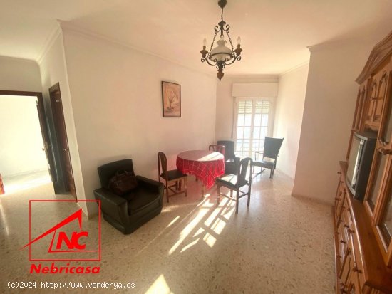 Casa en venta en Las Cabezas de San Juan (Sevilla)