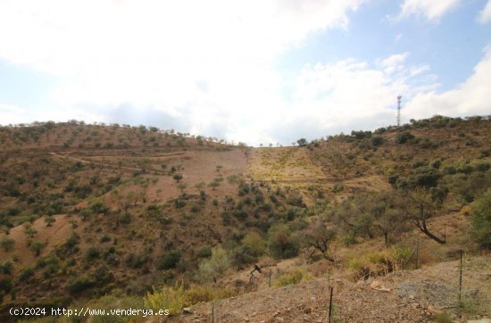 Solar en venta en Guaro (Málaga)