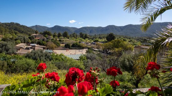 Finca en venta en Calvià (Baleares)