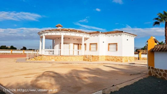 Villa en venta en Catral (Alicante)