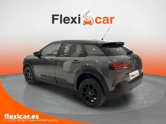 Citroën C4 Cactus PureTech 110 S&S Feel - Sevilla