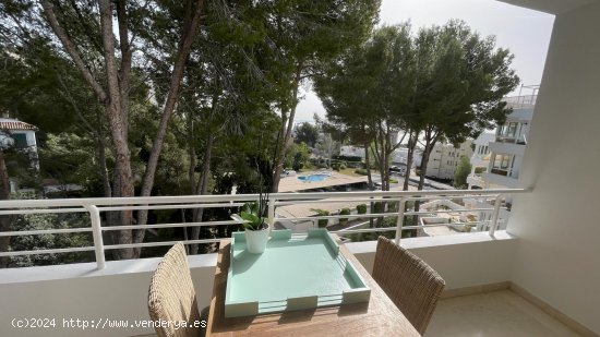  Apartamento en venta en Calvià (Baleares) 