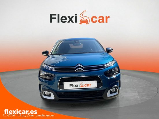 Citroën C4 Cactus PureTech 96kW (130CV) S&S Shine - Vigo