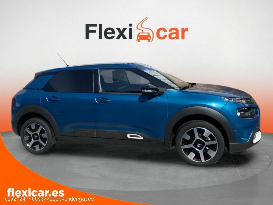 Citroën C4 Cactus PureTech 96kW (130CV) S&S Shine - Vigo