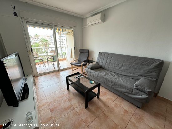 Apartamento en alquiler en Guardamar del Segura (Alicante)