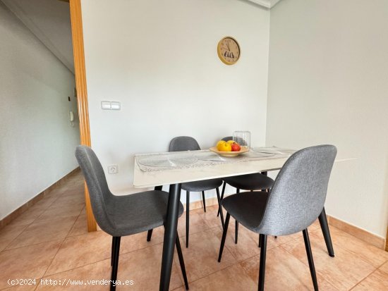 Apartamento en alquiler en Guardamar del Segura (Alicante)