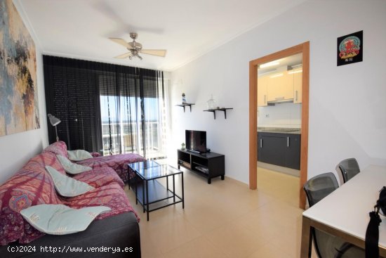 Apartamento en alquiler en Guardamar del Segura (Alicante)