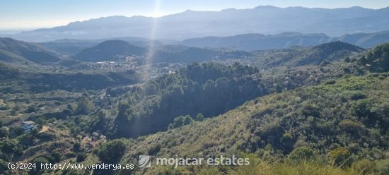 Solar en venta en Bédar (Almería)