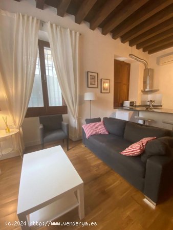 Apartamento en alquiler en Granada (Granada)