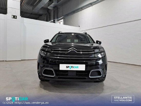 Citroën C5 Aircross  BlueHdi 96kW (130CV) S&S Feel - Granada