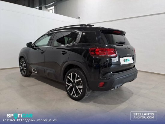 Citroën C5 Aircross  BlueHdi 96kW (130CV) S&S Feel - Granada