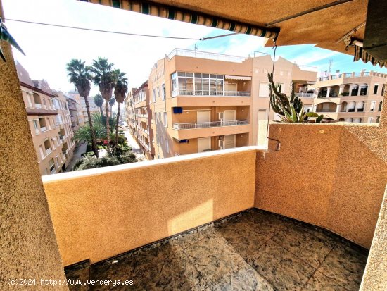 Apartamento en venta en Guardamar del Segura (Alicante)