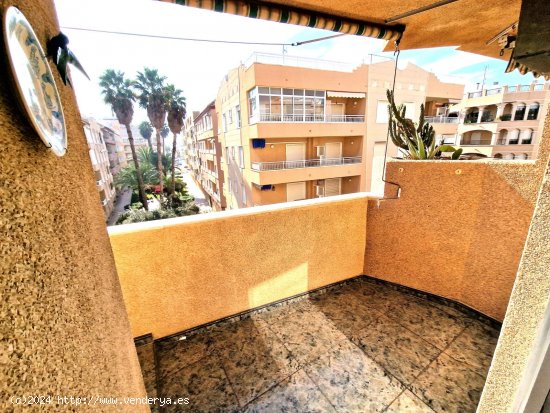 Apartamento en venta en Guardamar del Segura (Alicante)