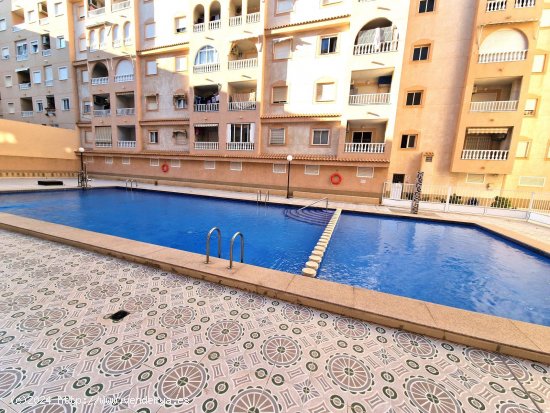  Apartamento en venta en Torrevieja (Alicante) 