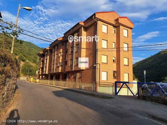 Piso en venta en Mieres (Asturias)