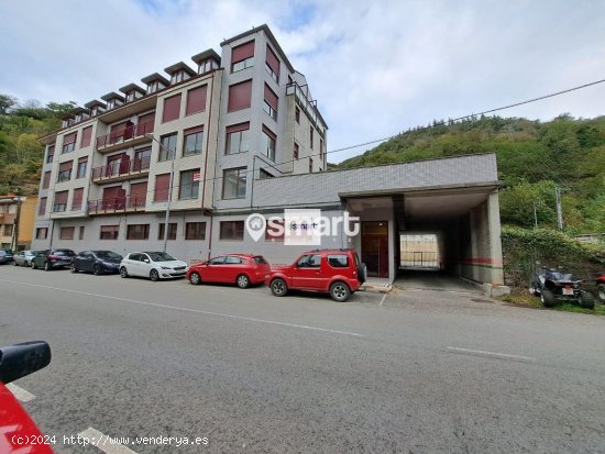 Piso en venta en Aller (Asturias)