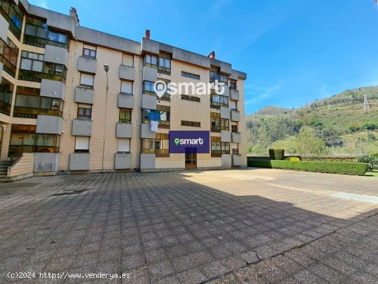  Piso en venta en Mieres (Asturias) 