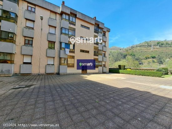 Piso en venta en Mieres (Asturias)