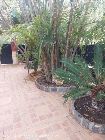 Piso en venta en Málaga (Málaga)