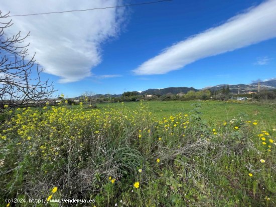 Finca en venta en Inca (Baleares)