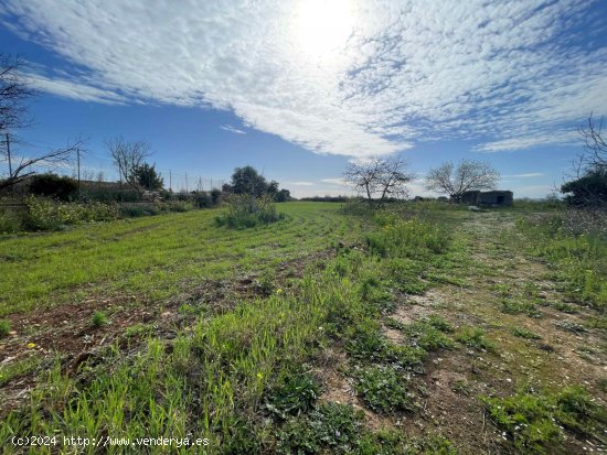 Finca en venta en Inca (Baleares)