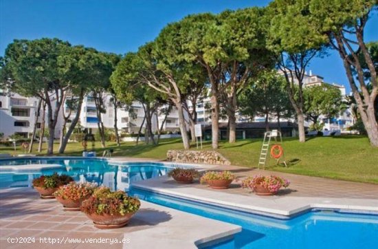  Apartamento en venta en Marbella (Málaga) 