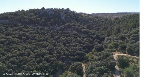 Finca en venta en Santiago-Pontones (Jaén)