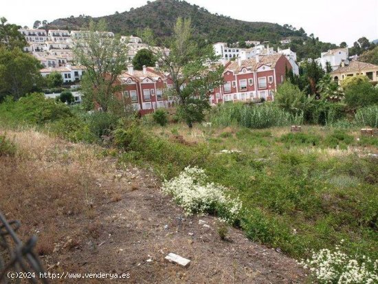 Solar en venta en Benahavís (Málaga)