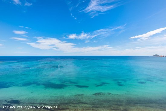 Piso en venta en La Manga del Mar Menor (Murcia)