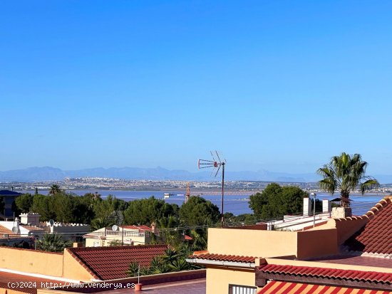 Villa en venta en Torrevieja (Alicante)