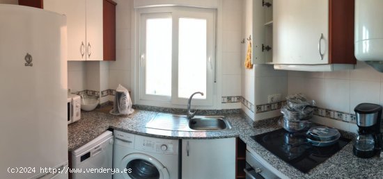 Apartamento en alquiler en Orihuela (Alicante)