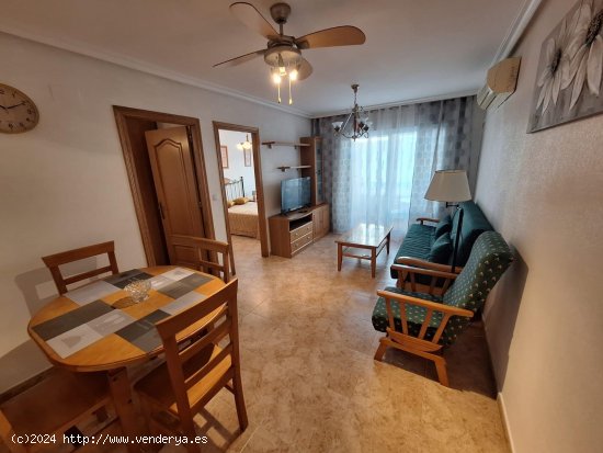 Apartamento en alquiler en Torrevieja (Alicante)