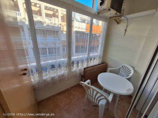 Apartamento en alquiler en Torrevieja (Alicante)