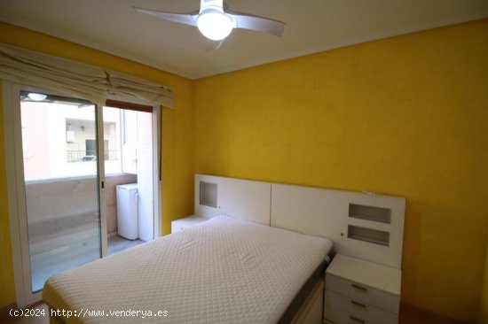 Apartamento en alquiler en Torrevieja (Alicante)