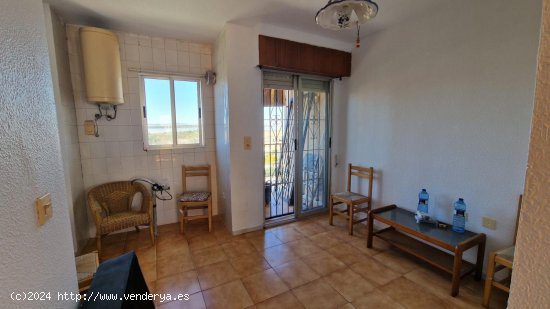 Piso en venta en Torrevieja (Alicante)