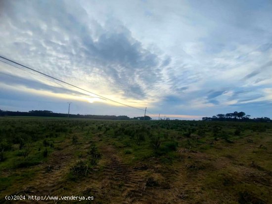 Parcela en venta en Tapia de Casariego (Asturias)