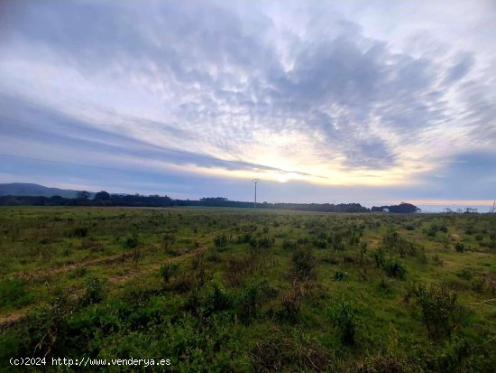 Parcela en venta en Tapia de Casariego (Asturias)