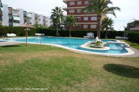  Apartamento en alquiler en Benicasim (Castellón) 