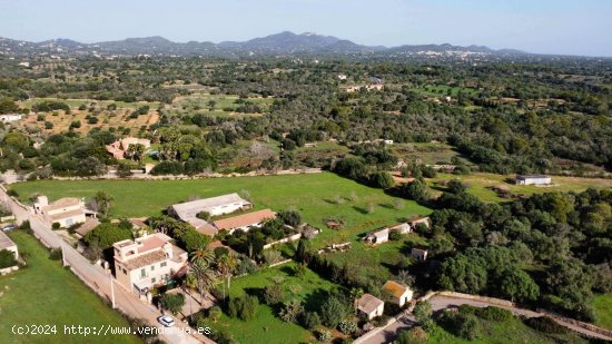 Finca en venta en Santanyí (Baleares)